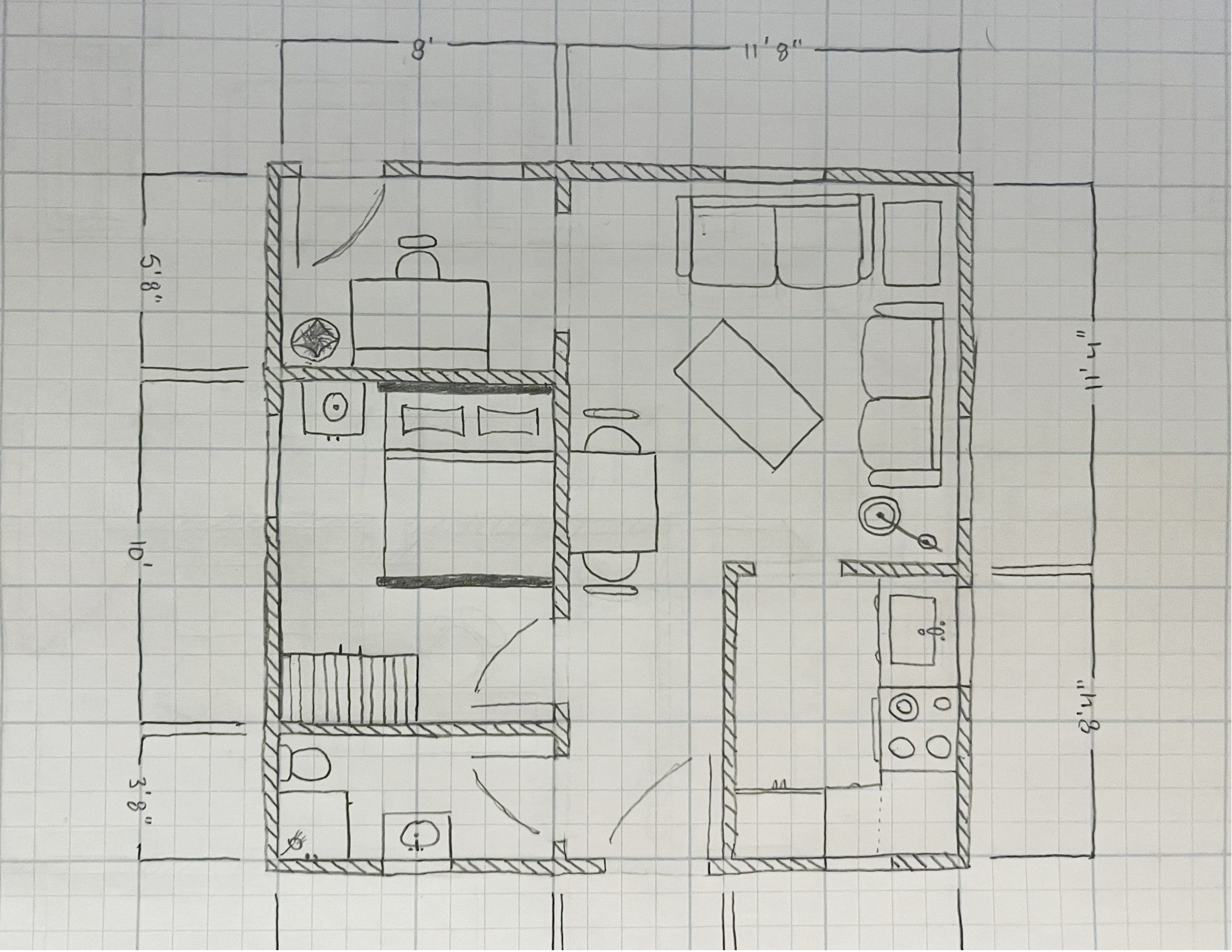 Miss White Carnation